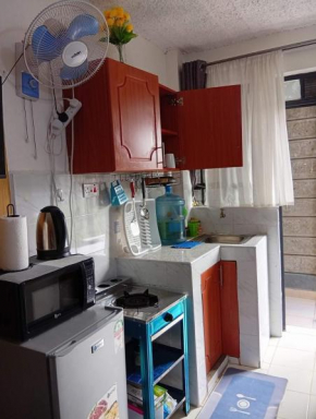 Katani road syokimau tumaini apartment furnished studio